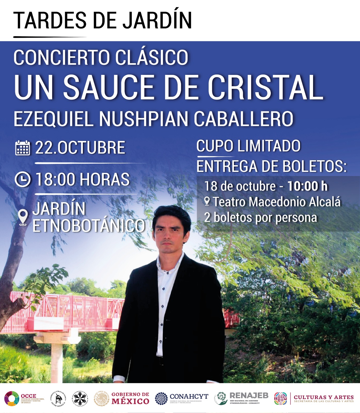 Cartel Concierto clásico un sauce de cristal