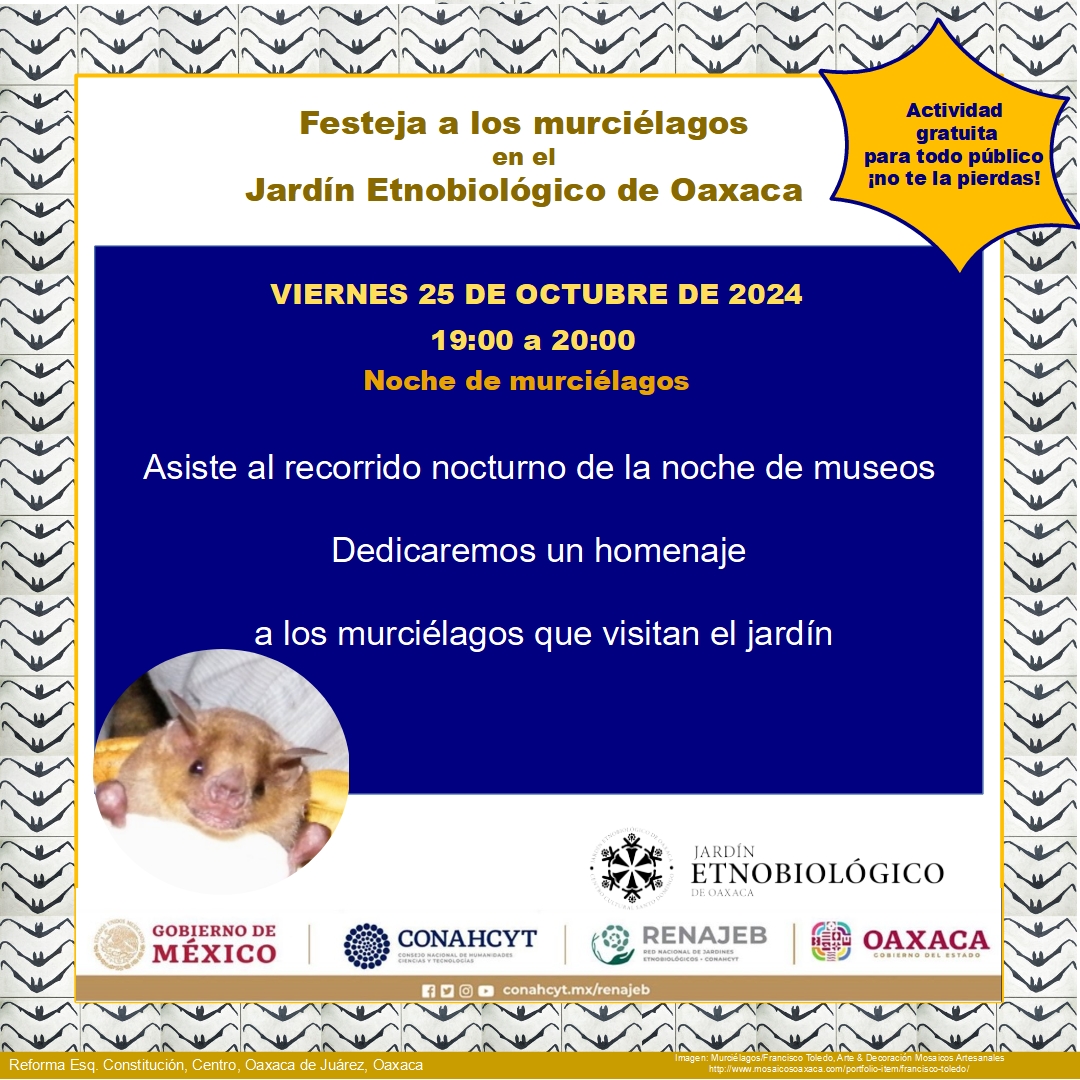 Cartel Semana de los murciélagos